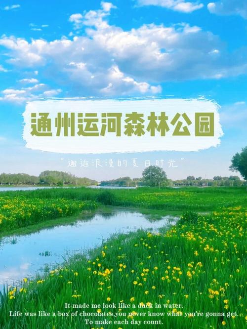 通州大运河森林公园游玩攻略_通州大运河森林公园景点