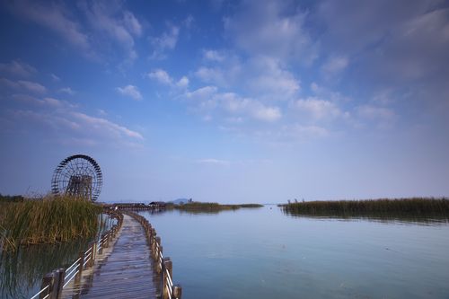 太湖湿地公园好玩吗_大泽湖湿地公园